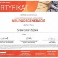 Powiększ obraz: certificate 3