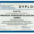 Powiększ obraz: certificate 3