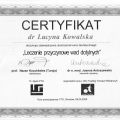 Powiększ obraz: certificate 52