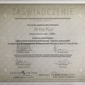 Powiększ obraz: certificate 12
