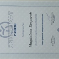 Powiększ obraz: certificate 6