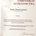 Powiększ obraz: certificate 7