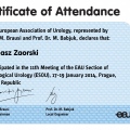 Powiększ obraz: certificate 8