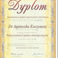 Powiększ obraz: certificate 11