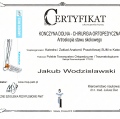 Powiększ obraz: certificate 8