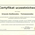 Powiększ obraz: certificate 31