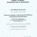 Powiększ obraz: certificate 28