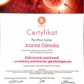 Powiększ obraz: certificate 6