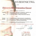 Powiększ obraz: certificate 5