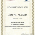Powiększ obraz: certificate 23