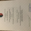 Powiększ obraz: certificate 3