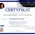 Powiększ obraz: certificate 13