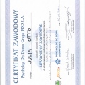 Powiększ obraz: certificate 4