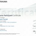 Powiększ obraz: certificate 5
