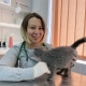 Katarzyna Toroniewska
