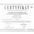Powiększ obraz: certificate 4