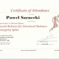 Powiększ obraz: certificate 8