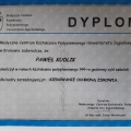 Powiększ obraz: certificate 2