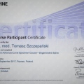 Powiększ obraz: certificate 3