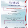 Powiększ obraz: certificate 49