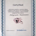 Powiększ obraz: certificate 5