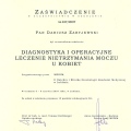 Powiększ obraz: certificate 17