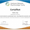 Powiększ obraz: certificate 25