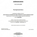 Powiększ obraz: certificate 7