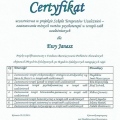 Powiększ obraz: certificate 4