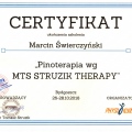 Powiększ obraz: certificate 5