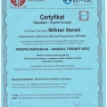 Powiększ obraz: certificate 12