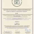 Powiększ obraz: certificate 1