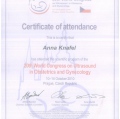 Powiększ obraz: certificate 21