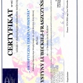 Powiększ obraz: certificate 12
