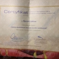 Powiększ obraz: certificate 17