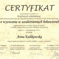 Powiększ obraz: certificate 5