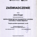 Powiększ obraz: certificate 7