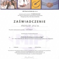 Powiększ obraz: certificate 4