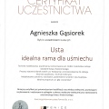 Powiększ obraz: certificate 2