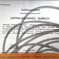 Powiększ obraz: certificate 2