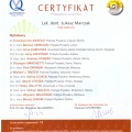 Powiększ obraz: certificate 5