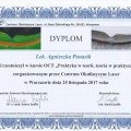 Powiększ obraz: certificate 7