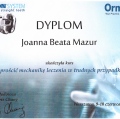 Powiększ obraz: certificate 13