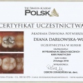 Powiększ obraz: certificate 2
