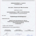 Powiększ obraz: certificate 4