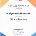 Powiększ obraz: certificate 5