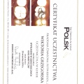 Powiększ obraz: certificate 22