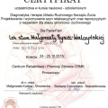 Powiększ obraz: certificate 8