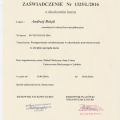 Powiększ obraz: certificate 8