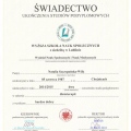 Powiększ obraz: certificate 1